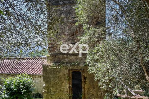 Landejendom i Lucca, Lucca, Lucca - € 970.000 | Ref: exp-011922 - foto 44