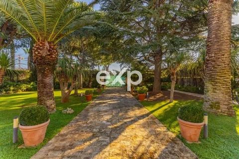 Villa i Molfetta, Bari, Molfetta - € 2.700.000 | Ref: Molf 1 - foto 8