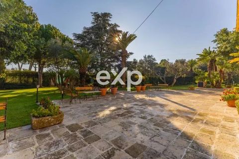 Villa i Molfetta, Bari, Molfetta - € 2.700.000 | Ref: Molf 1 - foto 14