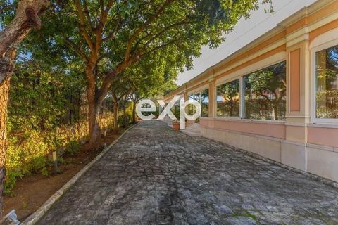 Villa i Molfetta, Bari, Molfetta - € 2.700.000 | Ref: Molf 1 - foto 17