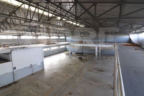 Erhvervsejendom i Pedroso, Porto, Pedroso - € 2.000.000 | Ref: ARM_376 - foto 3