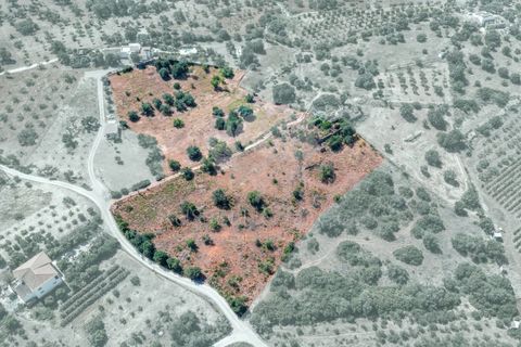 Ruinere i Olhao, Faro, Olhao - € 295.000 | Ref: HOME2464R - foto 6