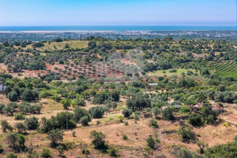 Ruinere i Olhao, Faro, Olhao - € 295.000 | Ref: HOME2464R - foto 10