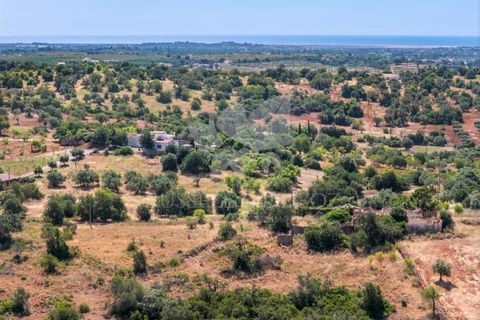 Ruinere i Olhao, Faro, Olhao - € 295.000 | Ref: HOME2464R - foto 11
