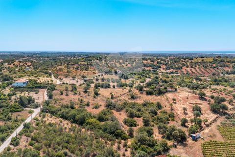 Ruinere i Olhao, Faro, Olhao - € 295.000 | Ref: HOME2464R - foto 12