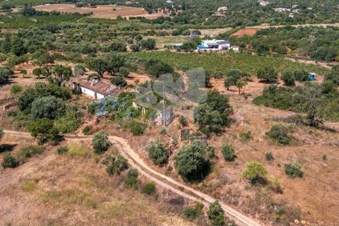 Ruinere i Olhao, Faro, Olhao - € 295.000 | Ref: HOME2464R - foto 22
