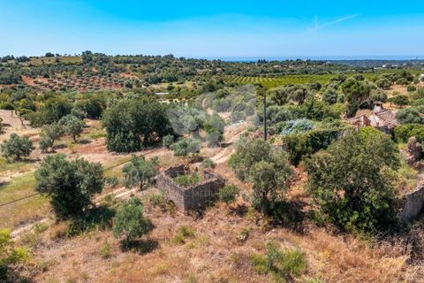 Ruinere i Olhao, Faro, Olhao - € 295.000 | Ref: HOME2464R - foto 24