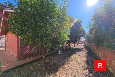 Villa a Caserta, Caserta, Caserta - € 350.000 | Ref: kA9481 - foto 42