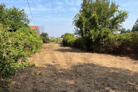 Helårsgrund i Aveiro, Aveiro, Aveiro - € 29.000 | Ref: KWPT-020118 - foto 2