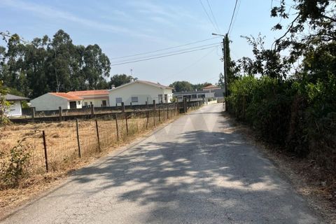 Helårsgrund i Aveiro, Aveiro, Aveiro - € 29.000 | Ref: KWPT-020118 - foto 6