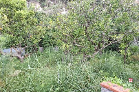 Helårsgrund i Rometta, Messina, Rometta - € 14.000 | Ref: VSP341 - foto 12