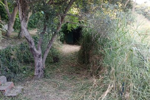 Helårsgrund i Rometta, Messina, Rometta - € 14.000 | Ref: VSP341 - foto 16