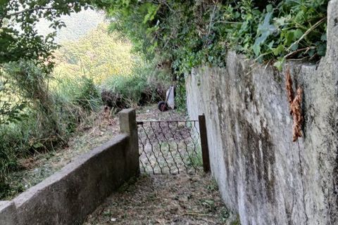 Helårsgrund i Rometta, Messina, Rometta - € 14.000 | Ref: VSP341 - foto 17