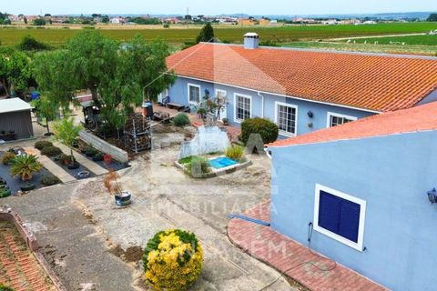 Villa a Alpiarca, Santarem, Alpiarca - € 350.000 | Ref: 12262 - foto 3