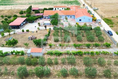Villa a Alpiarca, Santarem, Alpiarca - € 350.000 | Ref: 12262 - foto 23