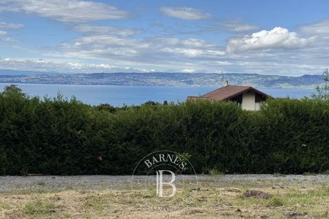 Terra a Neuvecelle, Haute-Savoie, Neuvecelle - € 470.000 | Ref: SZE2475 - foto 4