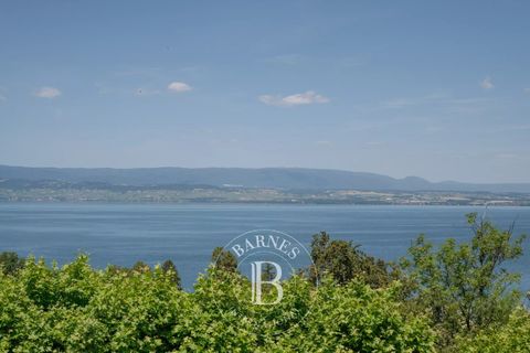 Villa a Thonon-les-Bains, Haute-Savoie, Thonon-les-Bains - € 2.000.000 | Ref: SZE2459 - foto 20