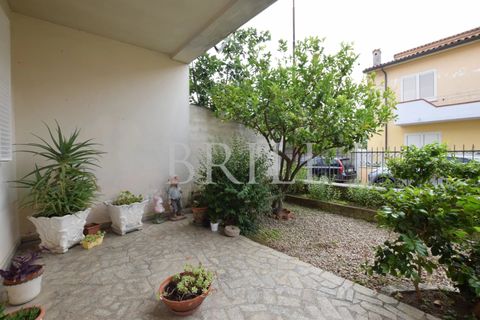 Villa i Luras, Sassari, Luras - € 250 000 | Ref: OT-013GS - foto 2