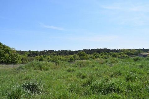 Terra a Galargues, Herault, Galargues - € 179.900 | Ref: 34_GALARG_CROZE-3 - foto 3