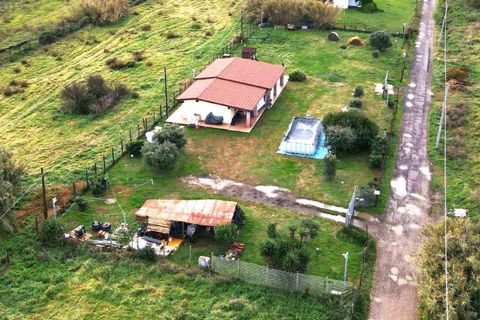 Villa i Ladispoli, Rome, Ladispoli - € 57.900 | Ref: 2639478 - foto 2
