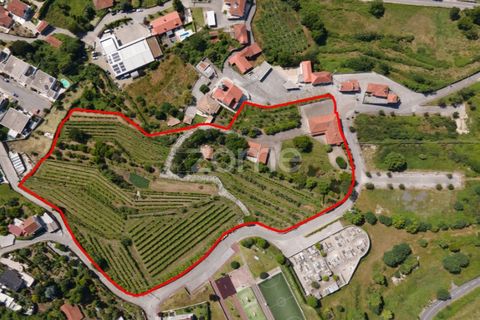 Farm i Braga, Braga, Braga - € 1.859.500 | Ref: ZMPT590167 - foto 1
