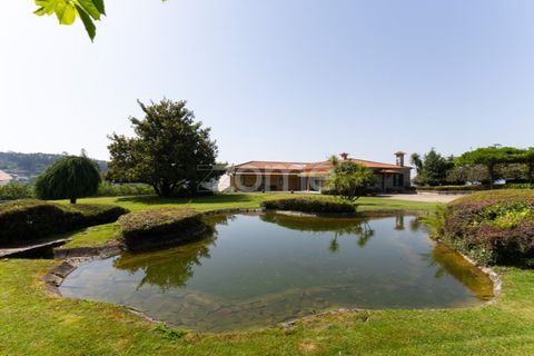 Farm i Braga, Braga, Braga - € 1.859.500 | Ref: ZMPT590167 - foto 7