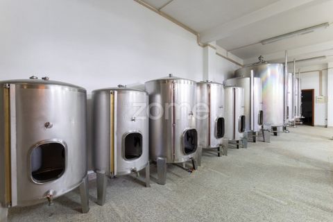 Farm i Braga, Braga, Braga - € 1.859.500 | Ref: ZMPT590167 - foto 36