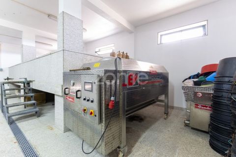 Farm i Braga, Braga, Braga - € 1.859.500 | Ref: ZMPT590167 - foto 39