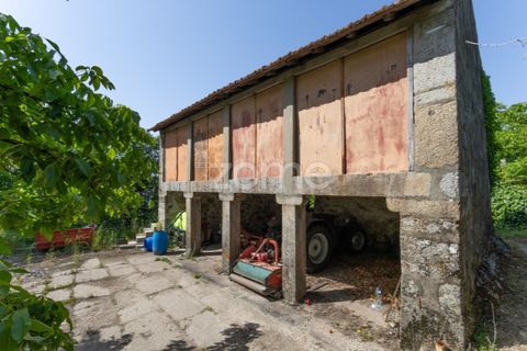 Farm i Braga, Braga, Braga - € 1.859.500 | Ref: ZMPT590167 - foto 50