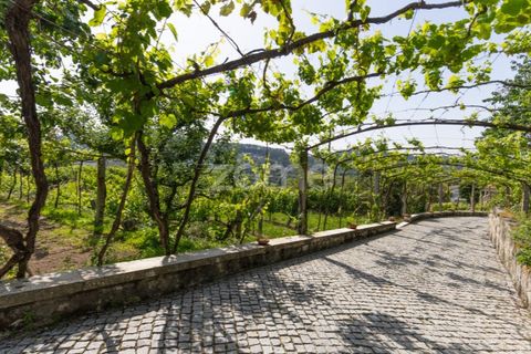 Granja a Braga, Braga, Braga - € 1.859.500 | Ref: ZMPT590167 - foto 50