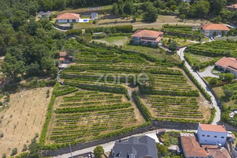 Helårsgrund i Souselo, Viseu, Souselo - € 149.500 | Ref: ZMPT590060 - foto 3