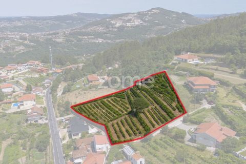 Helårsgrund i Souselo, Viseu, Souselo - € 149.500 | Ref: ZMPT590060 - foto 2