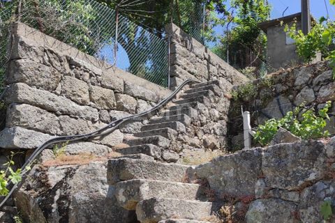 Helårsgrund i Souselo, Viseu, Souselo - € 149.500 | Ref: ZMPT590060 - foto 6