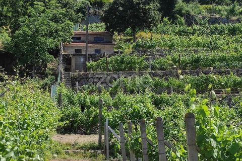 Helårsgrund i Souselo, Viseu, Souselo - € 149.500 | Ref: ZMPT590060 - foto 7