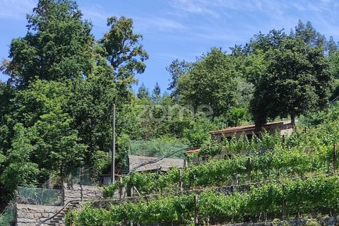 Helårsgrund i Souselo, Viseu, Souselo - € 149.500 | Ref: ZMPT590060 - foto 8
