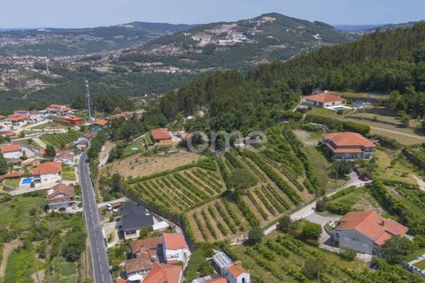 Helårsgrund i Souselo, Viseu, Souselo - € 149.500 | Ref: ZMPT590060 - foto 9