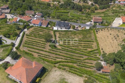 Helårsgrund i Souselo, Viseu, Souselo - € 149.500 | Ref: ZMPT590060 - foto 13