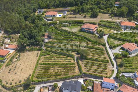 Helårsgrund i Souselo, Viseu, Souselo - € 149.500 | Ref: ZMPT590060 - foto 14