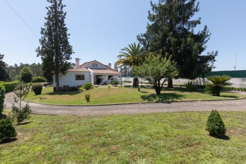 Villa i Tabua, Coimbra, Tabua - € 590 000 | Ref: ZMPT580553 - foto 11
