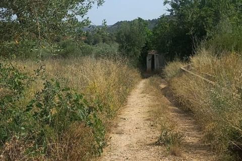 Terra a Alborache, Valencia, Alborache - € 15.000 | Ref: Alborache01/13300 - foto 8