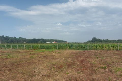 Tomt i Oliveira do Bairro, Aveiro, Oliveira do Bairro - € 87 500 | Ref: DRS_NL_0008/12758 - foto 3