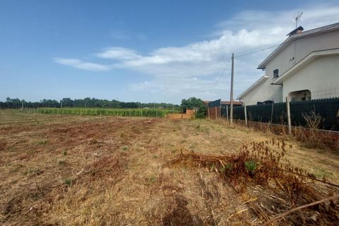 Tomt i Oliveira do Bairro, Aveiro, Oliveira do Bairro - € 87 500 | Ref: DRS_NL_0008/12758 - foto 4