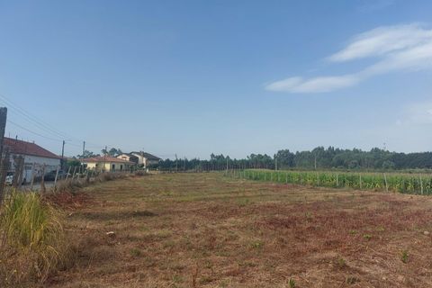 Tomt i Oliveira do Bairro, Aveiro, Oliveira do Bairro - € 87 500 | Ref: DRS_NL_0008/12758 - foto 5