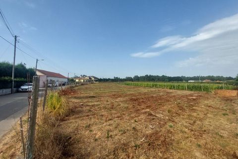 Tomt i Oliveira do Bairro, Aveiro, Oliveira do Bairro - € 87 500 | Ref: DRS_NL_0008/12758 - foto 6