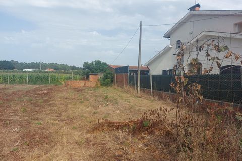 Tomt i Oliveira do Bairro, Aveiro, Oliveira do Bairro - € 87 500 | Ref: DRS_NL_0008/12758 - foto 7