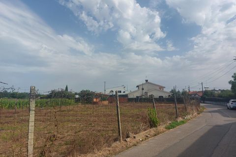 Tomt i Oliveira do Bairro, Aveiro, Oliveira do Bairro - € 87 500 | Ref: DRS_NL_0008/12758 - foto 8