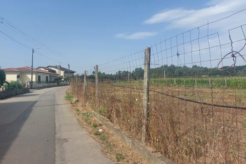 Tomt i Oliveira do Bairro, Aveiro, Oliveira do Bairro - € 87 500 | Ref: DRS_NL_0008/12758 - foto 10