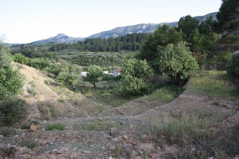 Landejendom i Murla, Alicante, Murla - € 180.000 | Ref: 001178 - foto 15