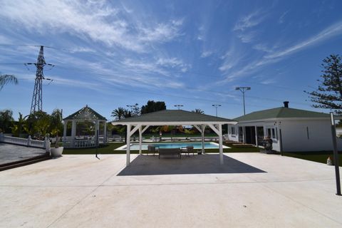 Villa en Elche, Alicante, Elche - € 998.000 | Ref: PNA/10946 - photo 18