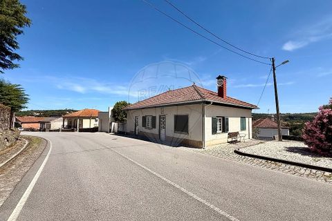 Villa i Mangualde, Viseu, Mangualde - € 240.000 | Ref: 126021123-52 - foto 2